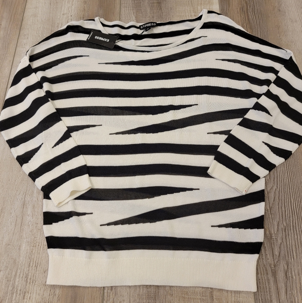 Express Lightweight Sweater